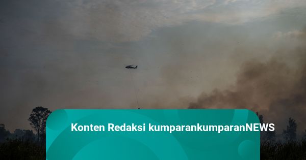 BMKG-BNPB Ungkap Kunci Redam Karhutla: Teknologi dan Operasi Modifikasi Cuaca