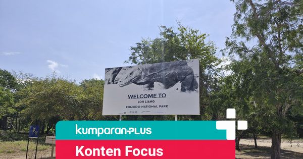 Konten TikTok: Alasan Wisatawan Taman Nasional Komodo Kini Dibatasi