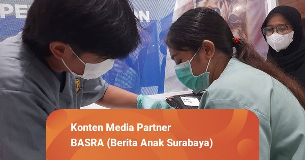 Tingkatkan Kesejahteraan Hewan RSHP UWKS Beri Layanan Steril Kucing