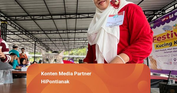 Begini Cara Mengurus Kucing Kampung