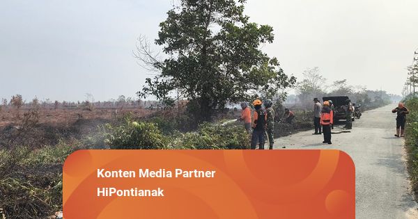 Kebakaran Lahan di Antibar Mempawah Semakin Meluas, Capai 50 Hektare