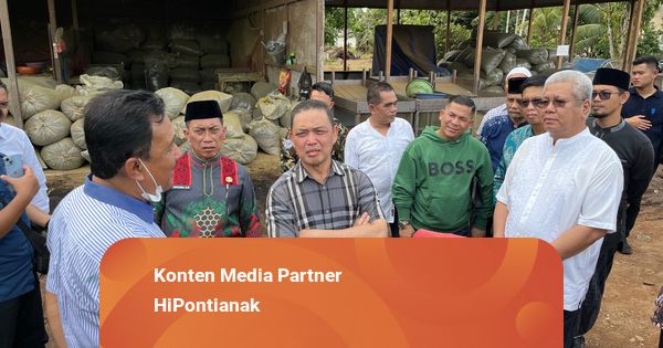 Ria Norsan Siapkan Regulasi Ekspor Kratom Melalui Pelabuhan Kijing