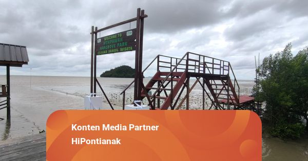 Semakin Menarik, Mempawah Mangrove Park Kini Punya Spot Swafoto Baru yang Keren