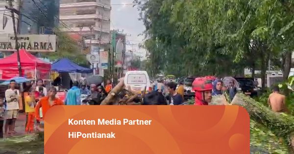Cuaca Ekstrem, Edi Kamtono Minta Warga Waspada Pohon Tumbang
