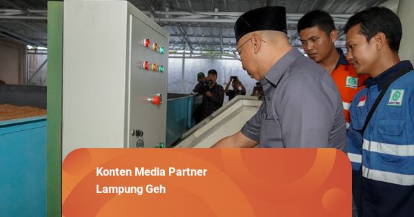 Pemprov Lampung Targetkan 500 Dryer untuk Dukung Hilirisasi Pertanian