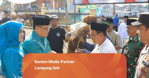 Pererat Silaturahmi dengan Masyarakat, Polda Lampung Salurkan 53 Hewan Kurban