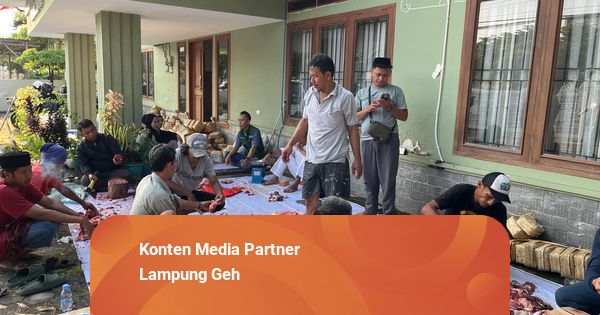 PWNU Lampung dan LAZISNU Sembelih 7 Hewan Kurban, Salurkan 312 Paket Daging