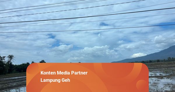 Pemprov Lampung Dorong Petani Percepat Tanam Untuk Tingkatkan Produksi Pangan