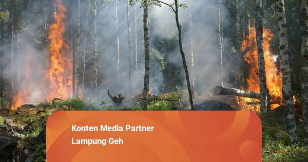 365 Titik Panas Terdeteksi di Lampung, Way Kanan Paling Rawan Karhutla