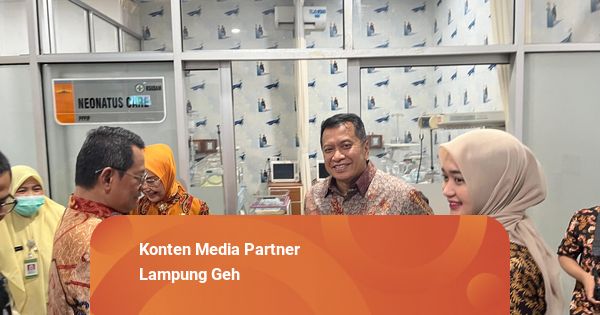 RSUDAM Lampung Dinilai Prima, Wamen PANRB Lakukan Peninjauan Langsung