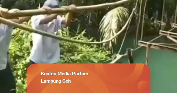 Viral Jembatan Rusak, PUPR Tanggamus Siapkan Jembatan Sementara