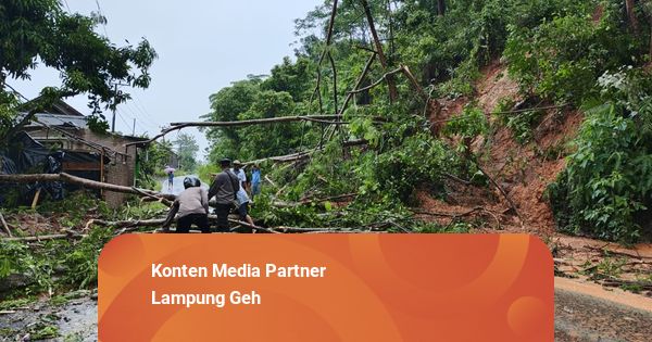 Hujan Deras Picu Longsor di Limau dan Cukuh Balak Tanggamus, Jalan Lintas Lumpuh