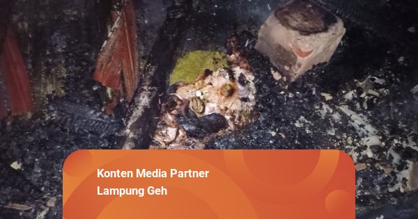 Kandang Ternak di Bandar Lampung Terbakar, 15 Kambing Mati Terpanggang