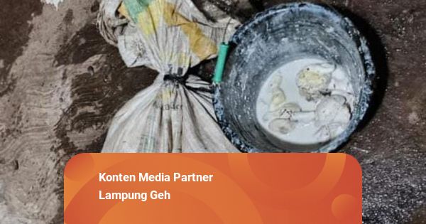 Curi Getah Karet 16 Kg, Warga Way Kanan, Lampung Diringkus Polisi