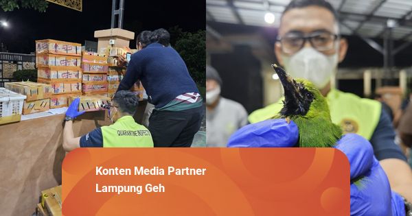 Terdakwa Penyelundupan Ratusan Burung Liar Divonis 5 Tahun Penjara