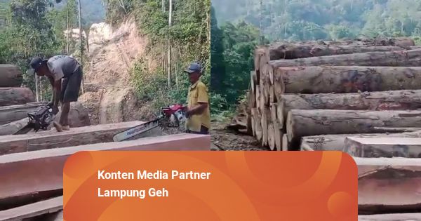 Polisi Amankan 3 Orang Terkait Kasus Ilegal Logging di Pesisir Barat, Lampung