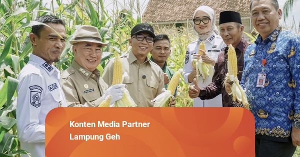 Gubernur Lampung Dorong Swasembada Pupuk dan Hilirisasi Pertanian di Tanggamus