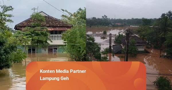 Hujan Deras Guyur Lampung, Sebabkan Puluhan Rumah di Natar Terendam Banjir