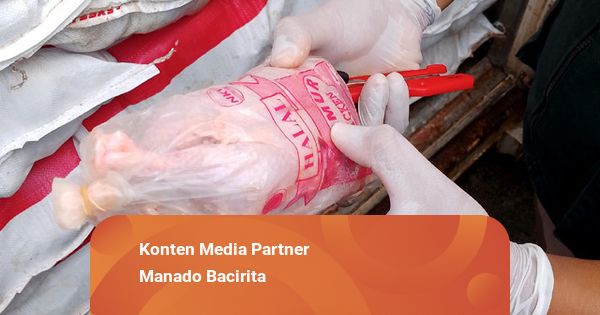 Ditemukan Sudah Membusuk, 15 Ton Daging Ayam Dimusnahkan Karantina Sulut