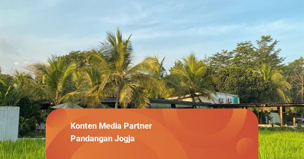 Bukan Sekadar Bahan Baku: Saat Kelapa Jadi Identitas Kuliner Baru di Jogja