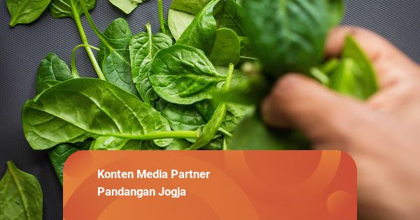 Bayam Jadi Penyumbang Inflasi Terbesar Keempat di DIY pada Maret 2026