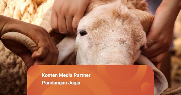 Idul Adha Jadi Momen untuk Edukasi Wadah Daging Kurban Ramah Lingkungan