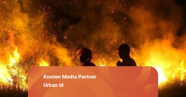 33 Kejadian, 43 Hektare Lahan di Sumsel Terdampak Karhutla