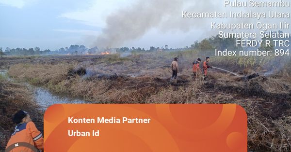 BPBD Masih Dalami Penyebab Karhutla di Ogan Ilir