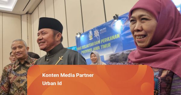 Gubernur Sumsel Minta Agar Daerah Punya Kewenangan Lebih Awasi MBG
