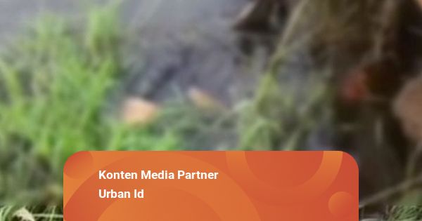 Mayat Pemuda Ditemukan Mengapung di Bawah Jembatan Gandus Palembang