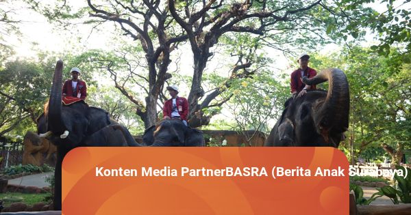 Lebaran di Kebun Binatang Surabaya: Hiburan Menarik dan Edukatif untuk Keluarga
