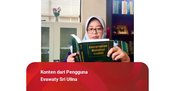 Membaca Dunia Tersembunyi Serangga dengan AI dan DNA Barcoding
