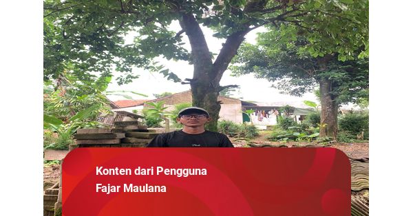 Scroll, Klik, dan Takwa: Membaca Ulang Fikih di Era Digital