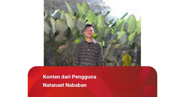 Bahasa Indonesia Bukan Sekadar Mata Pelajaran