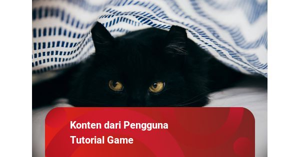 tembak ikan bonus melimpah Panduan Cara Main Little Kitty Big City: Petualangan Kucing Hitam - kumparan.com