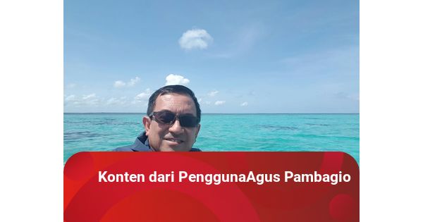 Indonesia Airlines’ Impact on National Carriers