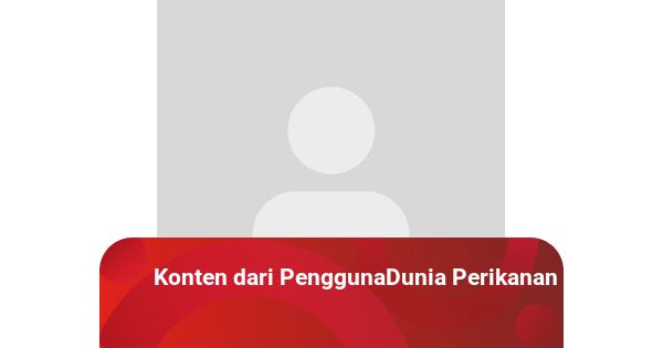 Retort Pouch: Kemasan Fleksibel untuk Proses Pemanasan Tinggi - teknologi news from kumparan