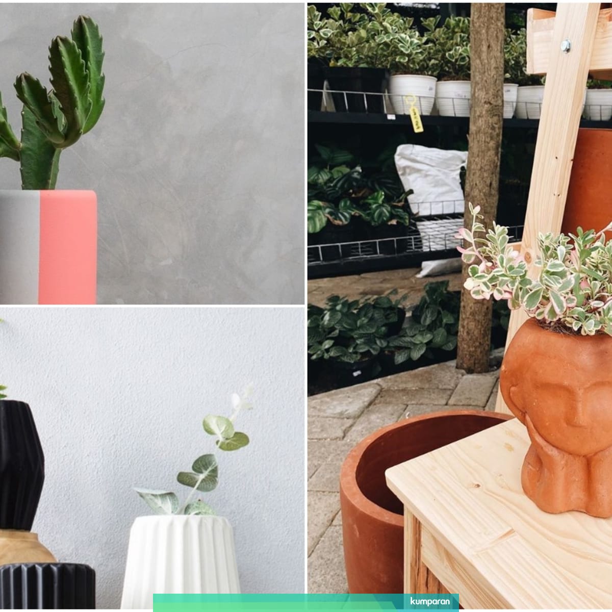 Rekomendasi 8 Pot Tanaman Untuk Dekorasi Rumah Yang Lebih Cantik Kumparan Com