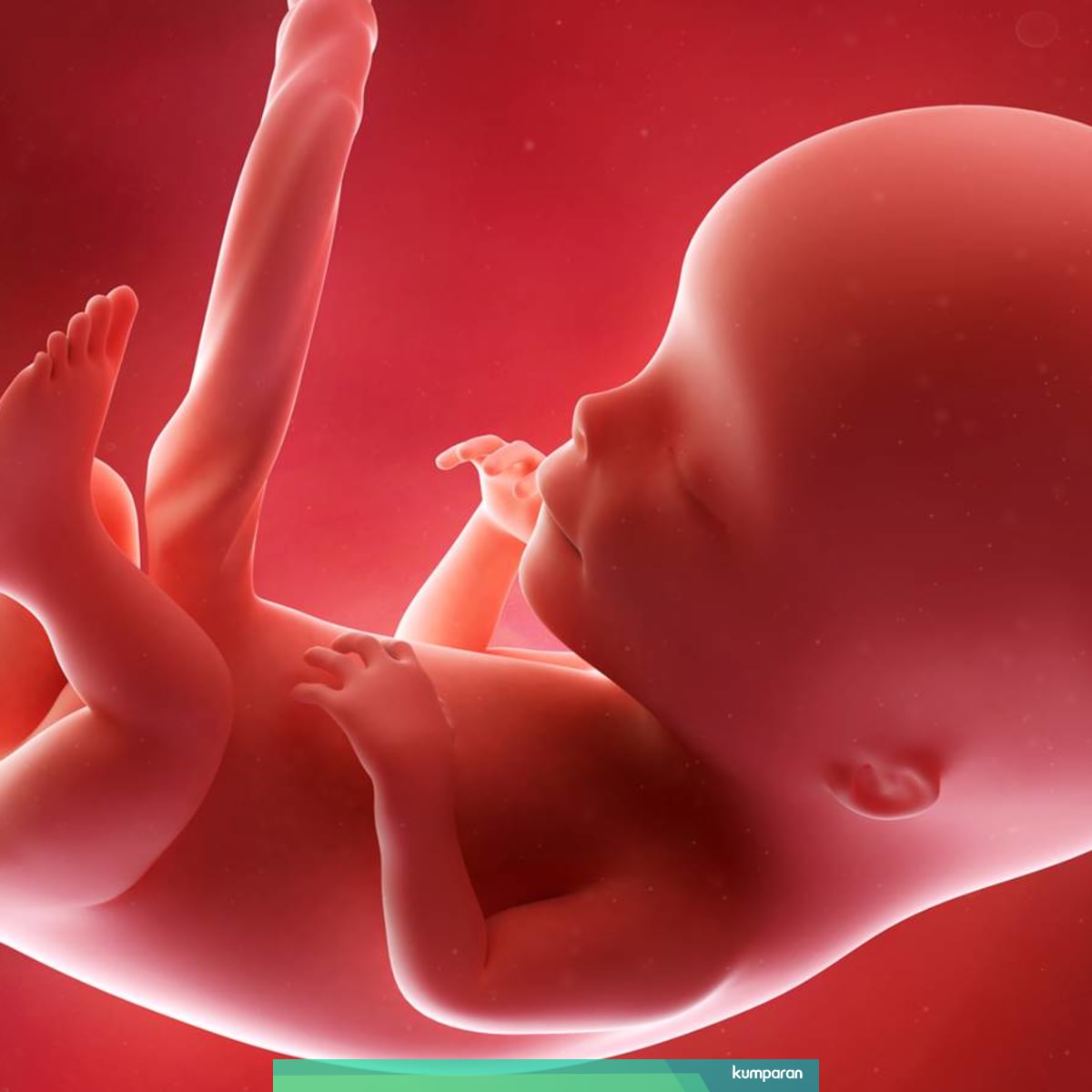 5 Jenis Gerak Bayi Dalam Kandungan Kumparan Com