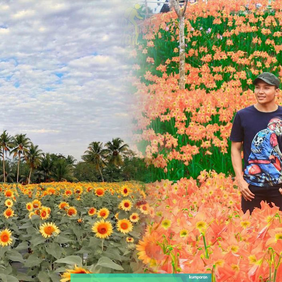 5 Lahan Biasa Yang Disulap Warga Jadi Kebun Bunga Cantik Kumparan Com