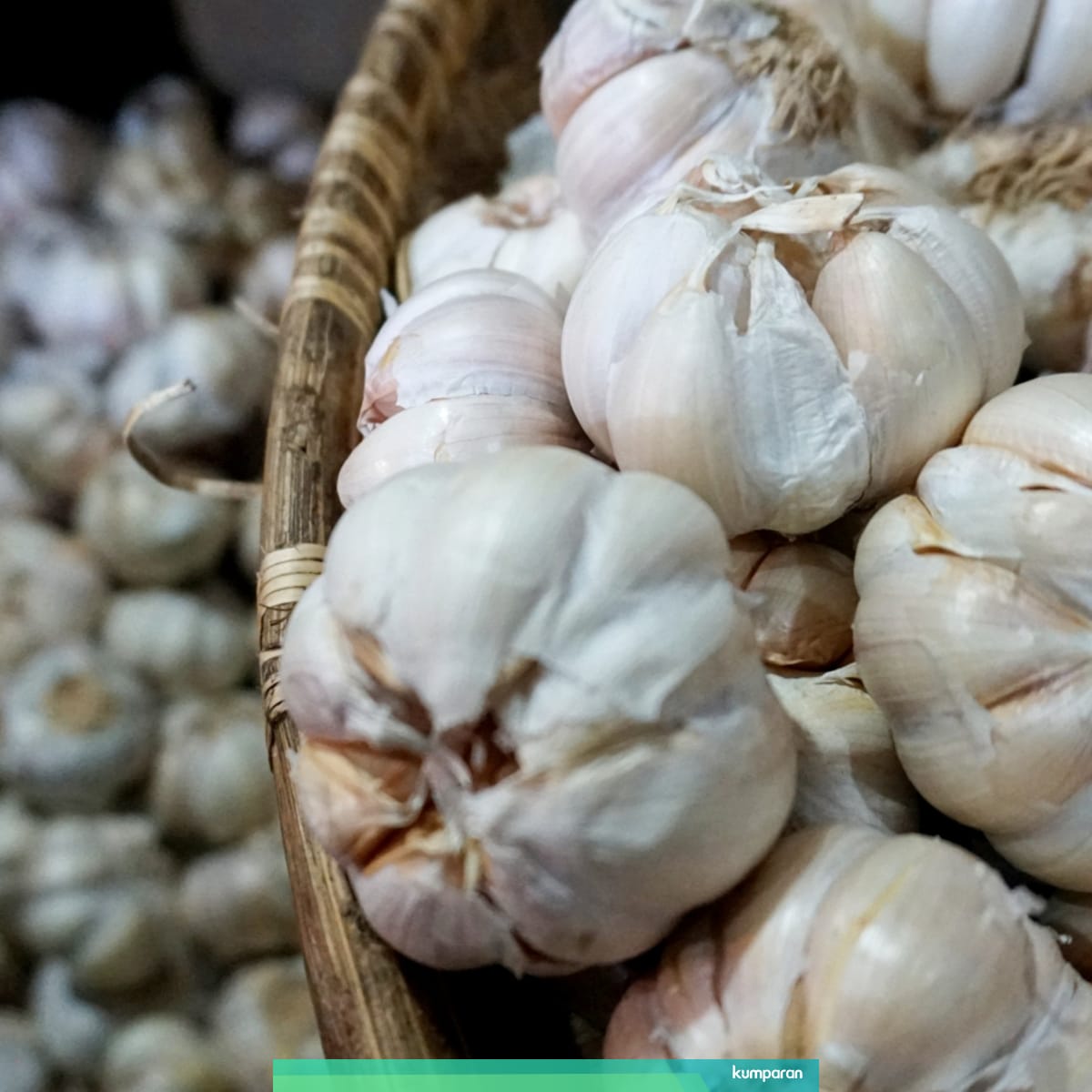 Manfaat Bawang Putih Untuk Kesehatan Tubuh