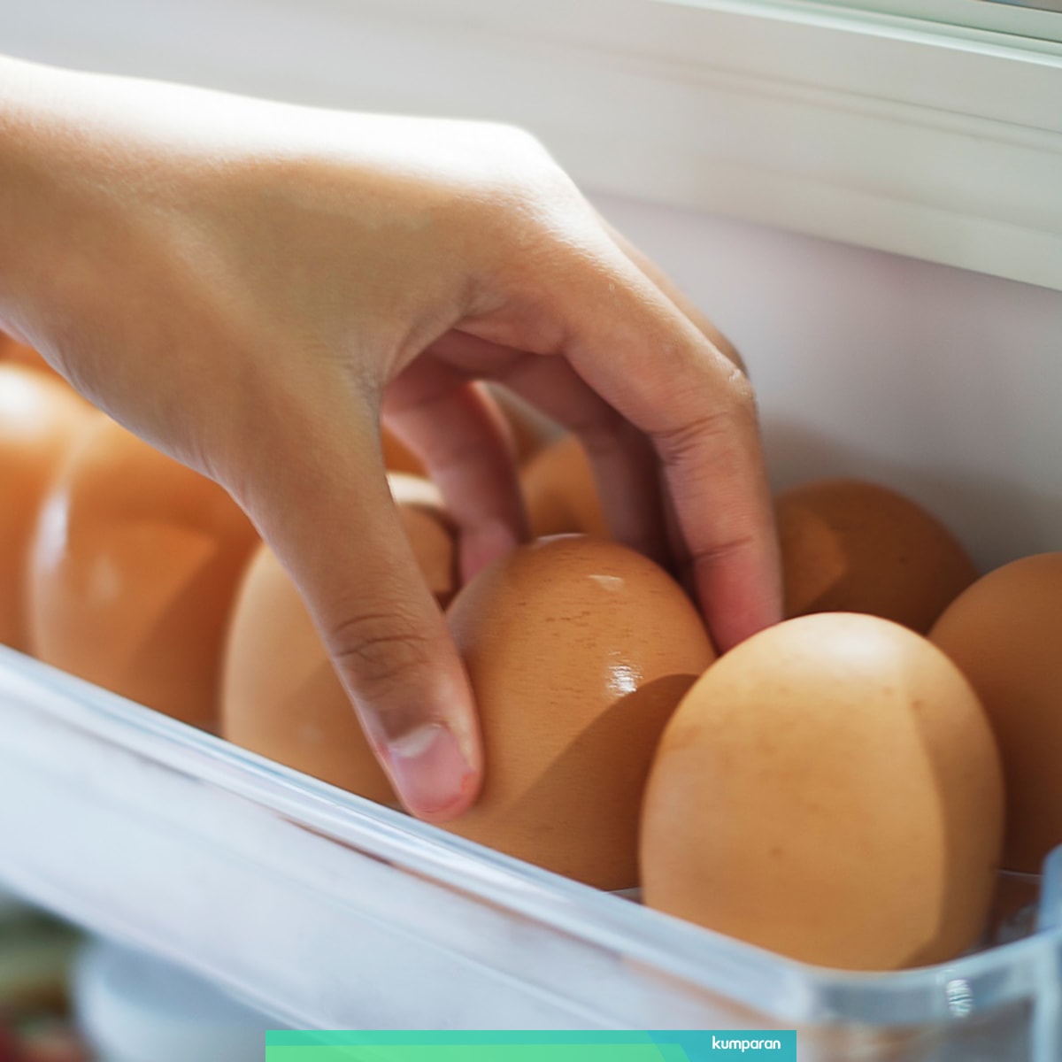 5 Tips Menyimpan Stok Telur Supaya Lebih Tahan Lama Kumparan Com