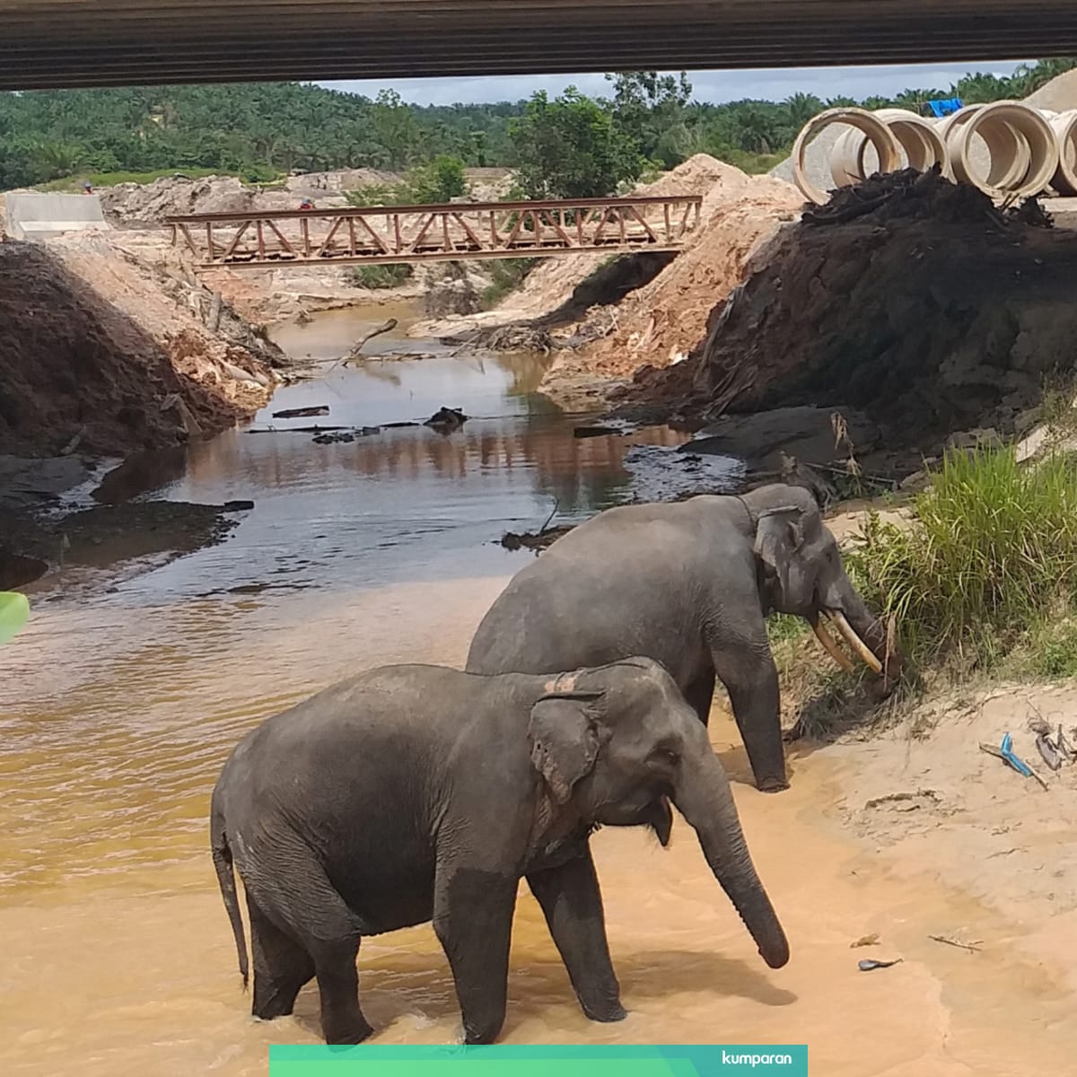 Tol Pekanbaru Dumai Yang Ada Terowongan Gajah Siap Beroperasi Dua Bulan Lagi Kumparan Com