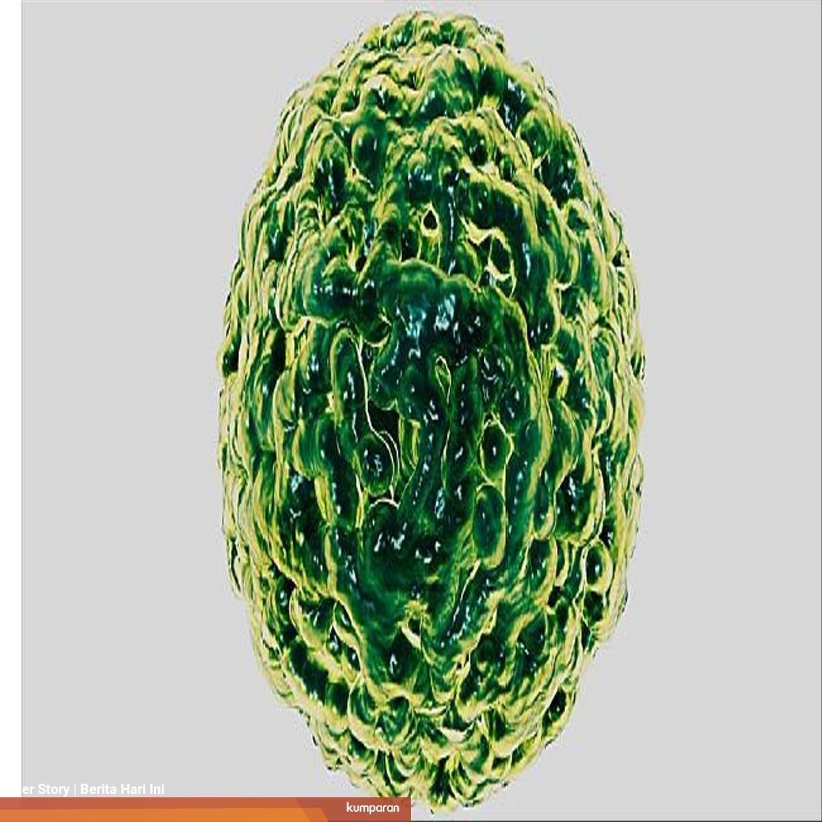 Apa Itu Norovirus Virus Penyebab Diare Yang Kini Menyerang China Kumparan Com