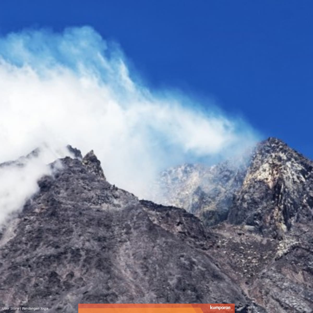 Gunung Merapi Siaga Bagaimana Nasib Flora Dan Fauna Di Dalamnya Kumparan Com