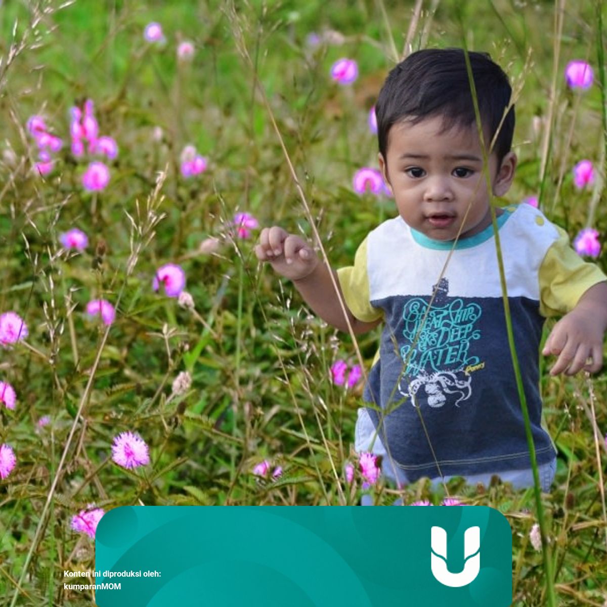 Hati Hati Moms Rumput Dan Serbuk Bunga Juga Bisa Bikin Anak Alergi Kumparan Com