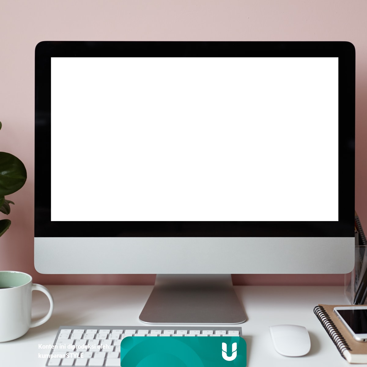 5 Inspirasi Tanaman Hias Untuk Percantik Meja Kerja Kumparan Com