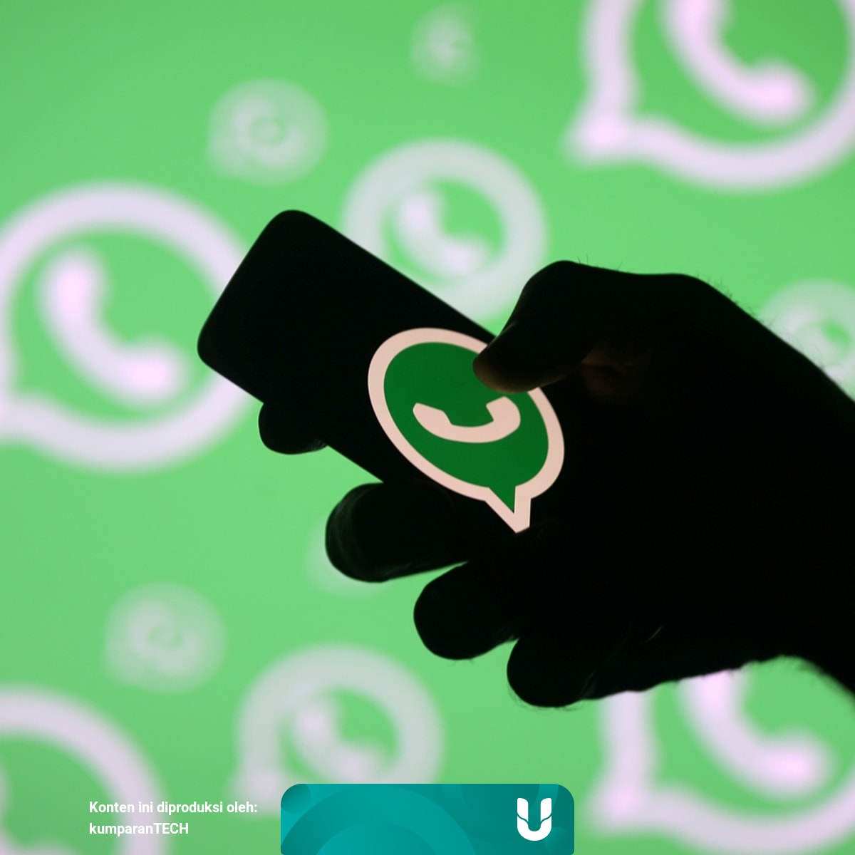 Featured image of post Whatsapp Imune Apk