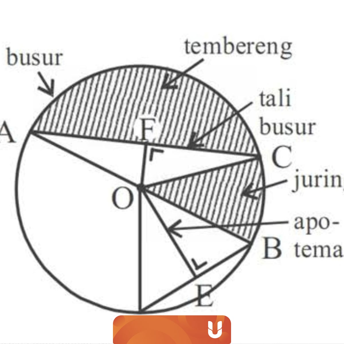 Mengenal Unsur Unsur Yang Terdapat Pada Lingkaran Kumparan Com