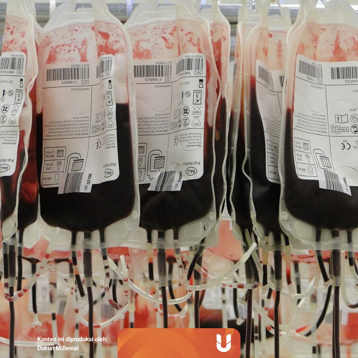 Arti Mimpi Mendonorkan Darah Kumparan Com